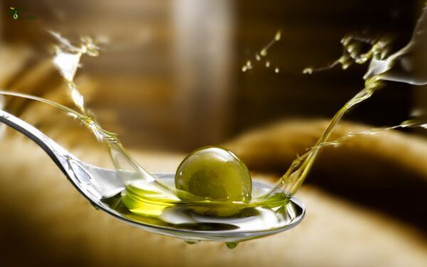 ¿El aceite de oliva engorda? La verdad detrás de las calorías 1 Calorías y grasas: Entendiendo la composición del aceite de oliva