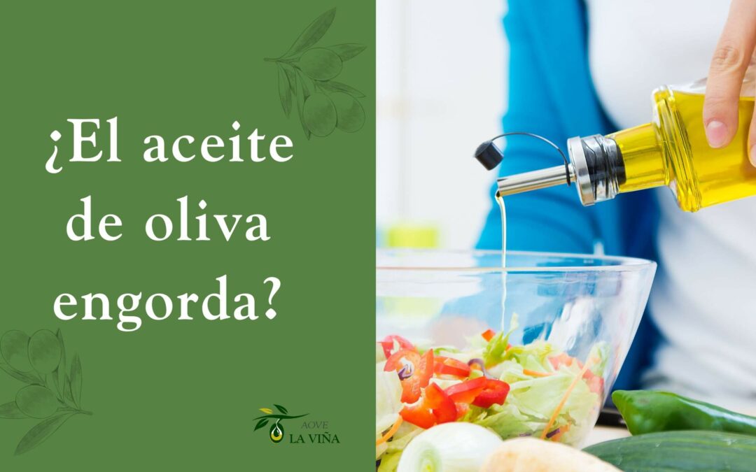 ¿El aceite de oliva engorda? La verdad detrás de las calorías