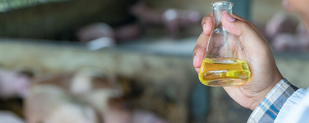¿Qué significa la acidez del aceite de oliva?