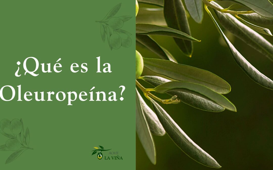 Oleuropeína: El secreto mejor guardado de la naturaleza