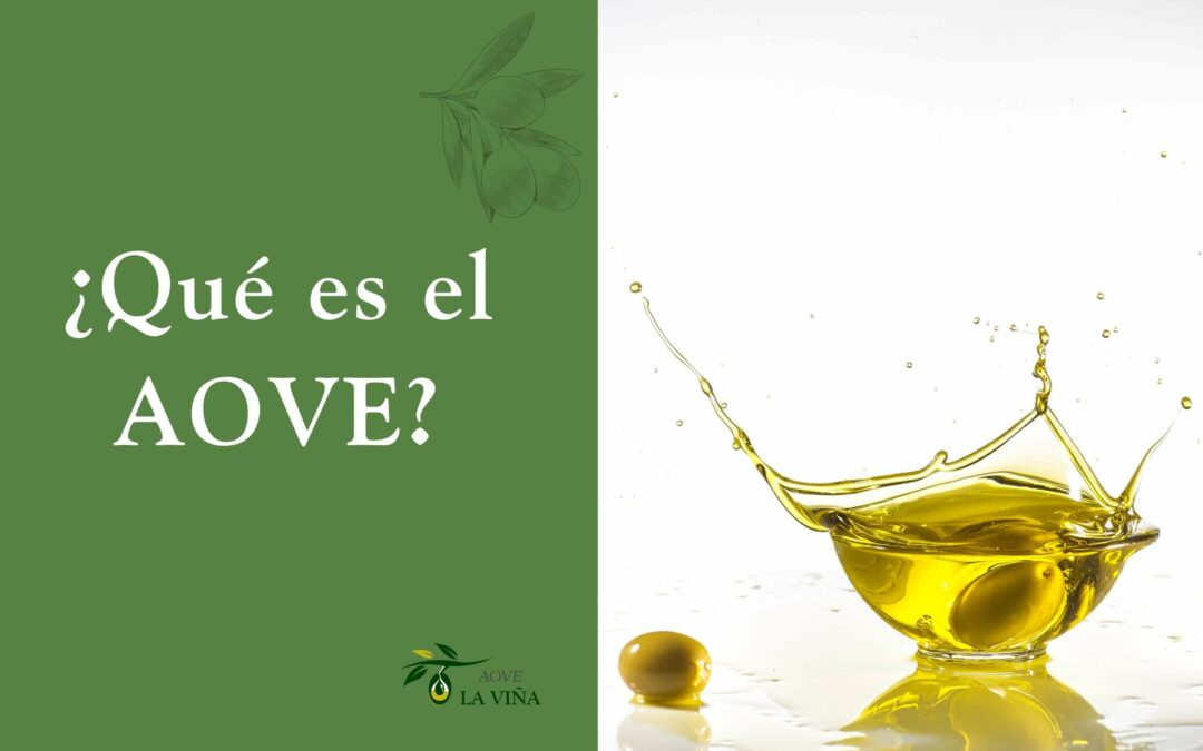 ¿Qué es el AOVE? Todo lo que debes saber sobre el oro líquido