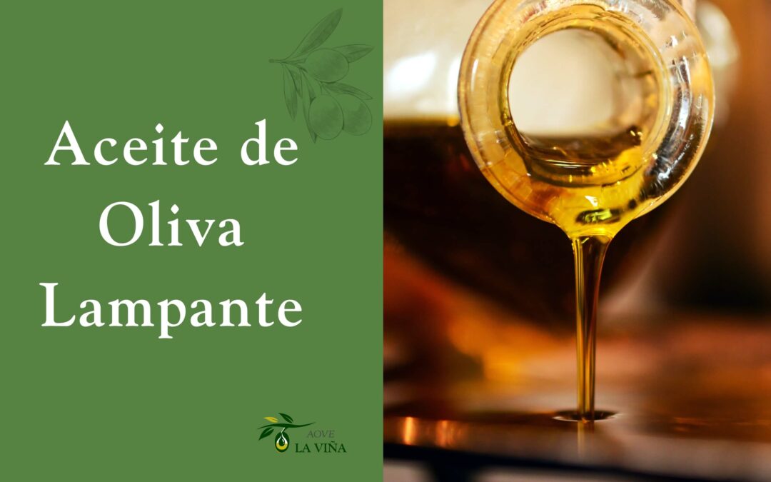 Aceite de oliva lampante: qué es y qué lo diferencia de otros aceites