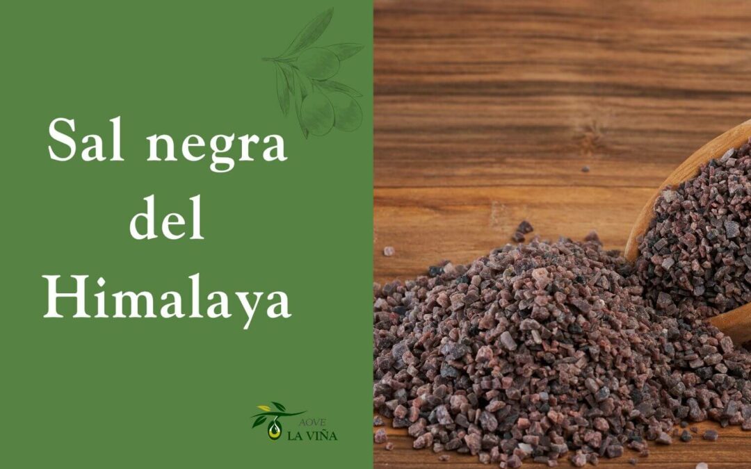 Sal negra del Himalaya para qué sirve: descubre sus usos y beneficios