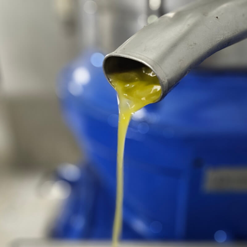 Aceite recién extraído de la aceituna picual Aceite recién extraído de La Viña