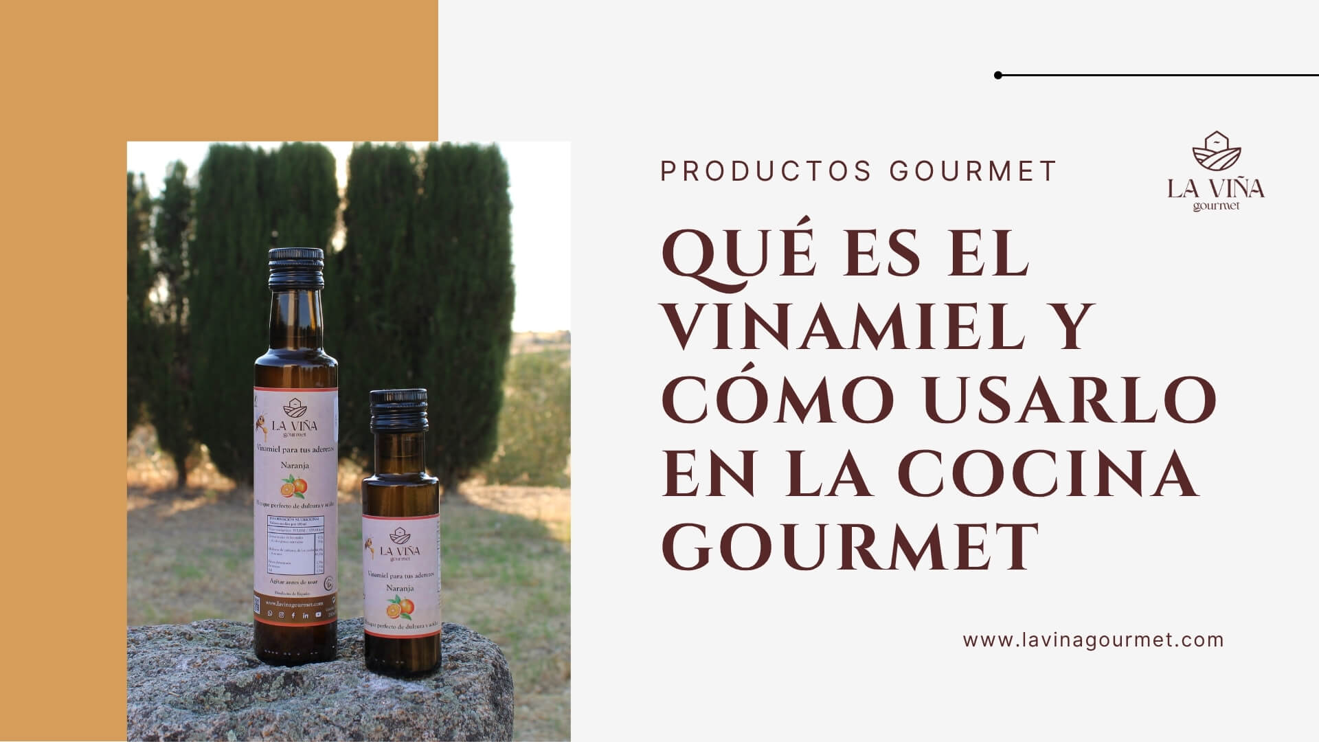 Qué es el Vinamiel y Cómo usarlo en la cocina gourmet